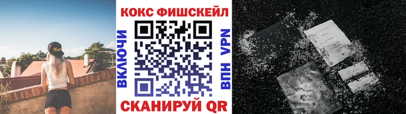 Кокаин FishScale  Купить где  Камень-на-Оби 