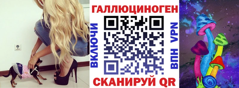 Купить где  Камень-на-Оби  Псилоцибиновые грибы Magic Shrooms 
